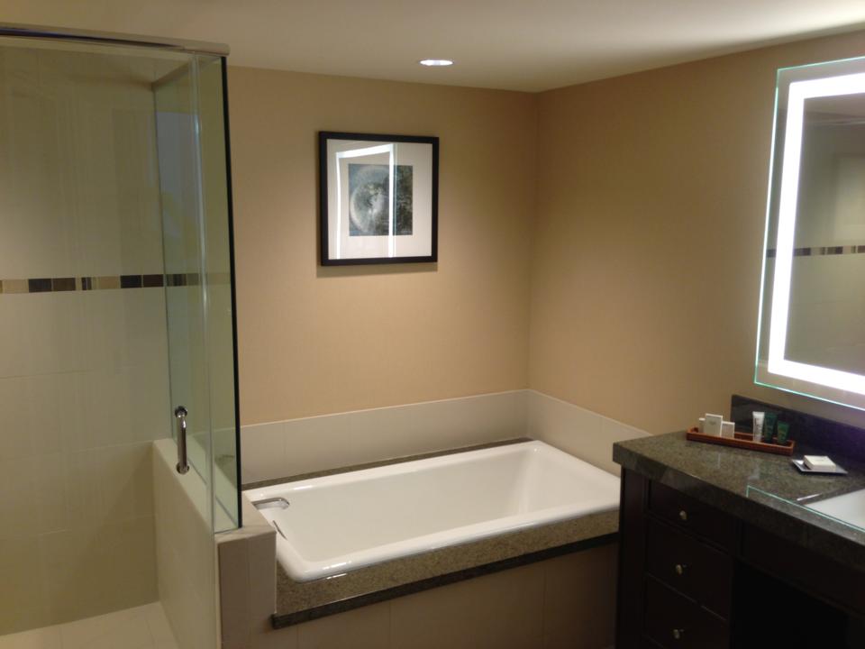 Separate shower & tub. Sink with Peter Thomas Roth toiletries.